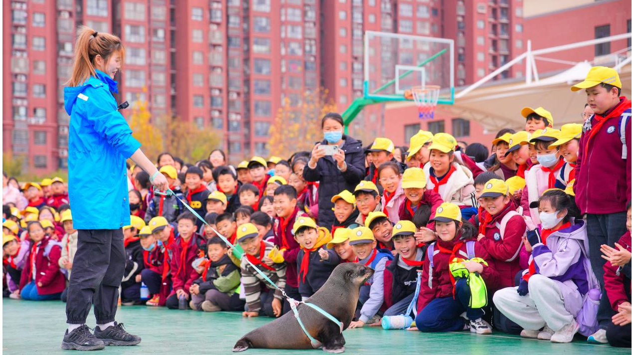 冰球突破-冰球电游豪华版_MG冰球游戏