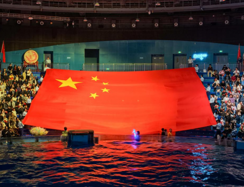 郑州冰球突破海洋公园山海国潮盛宴燃动黄金周，“深海迷踪夜”热力接档掀新潮