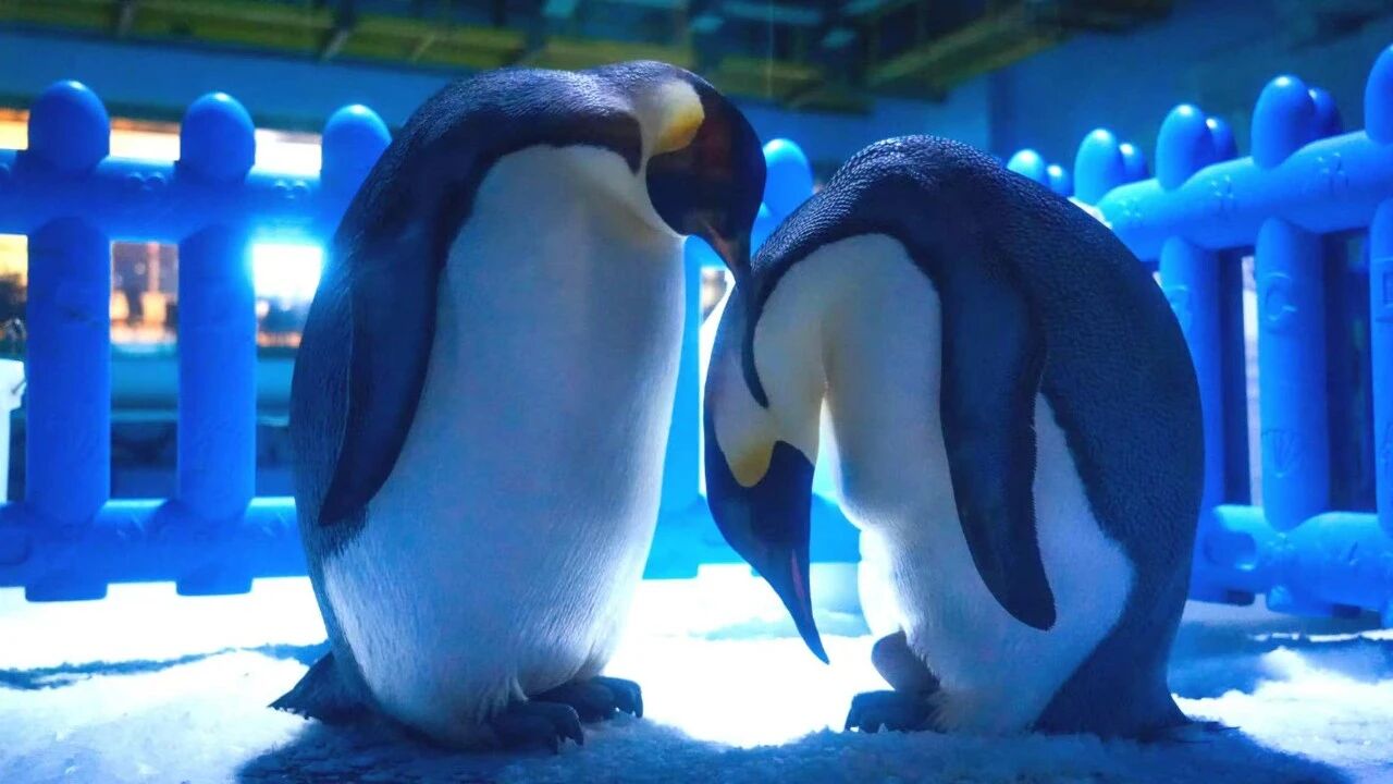 冰球突破-冰球电游豪华版_MG冰球游戏