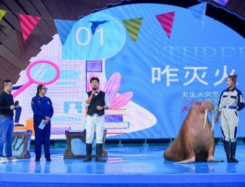 “海洋蓝”邂逅“火焰蓝”！郑州冰球突破以海洋文化科普构建清静教育新场景